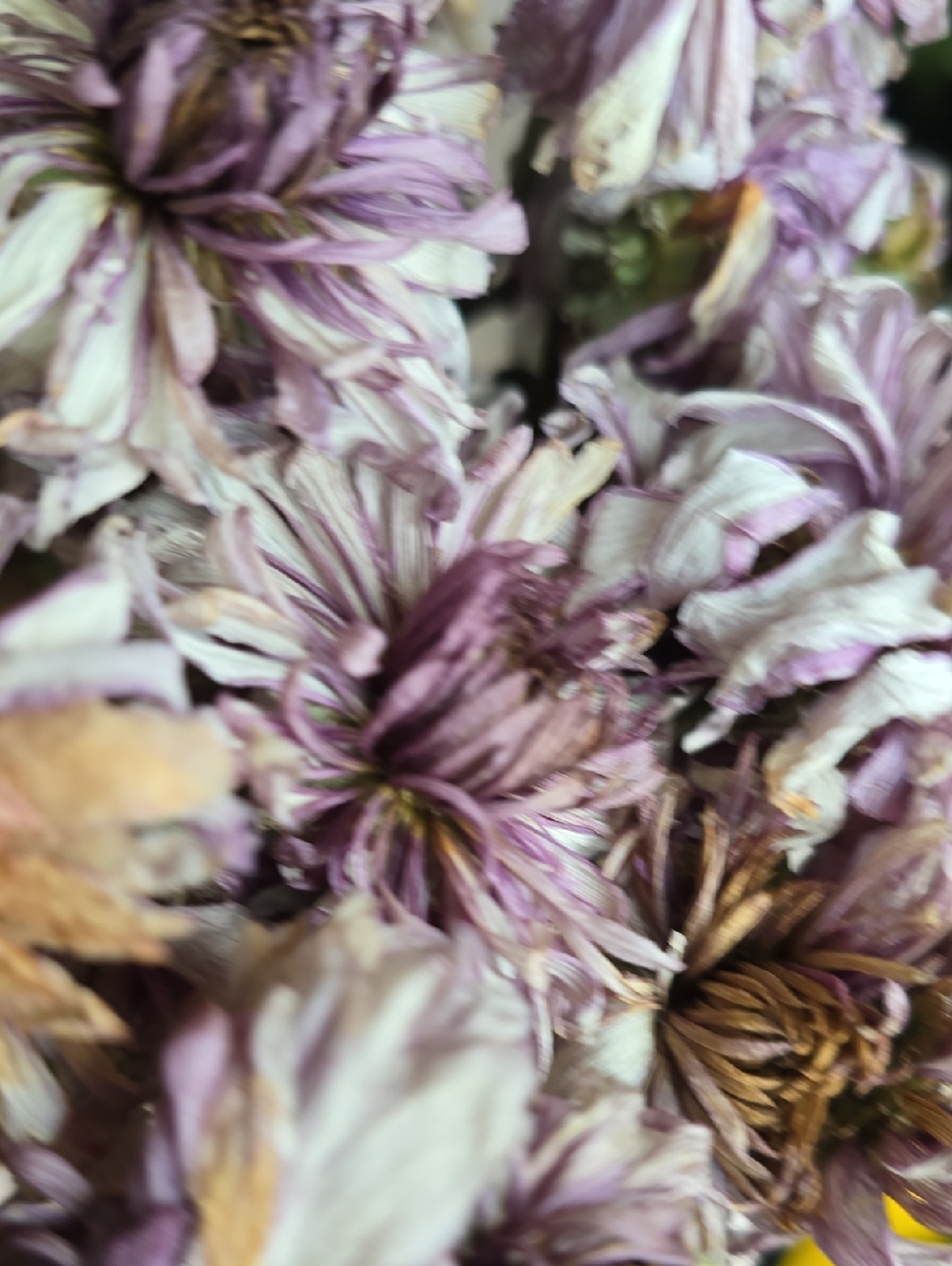 Dried Bouquet Home Accent - Decorative Flowers 22"x7"x6" Box